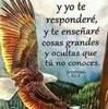 jonathancent137